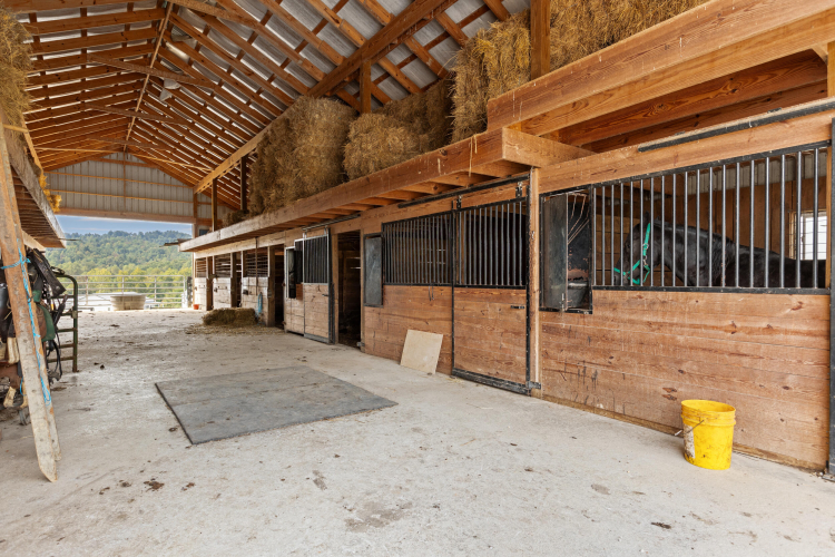 Listing Image 87