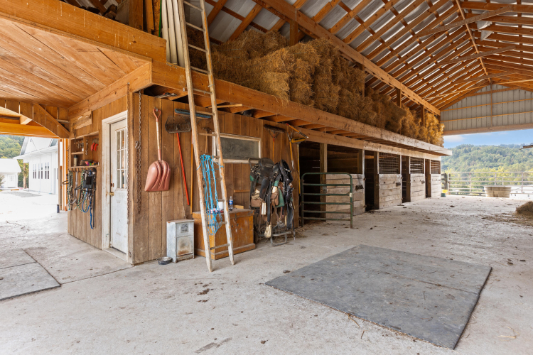 Listing Image 88