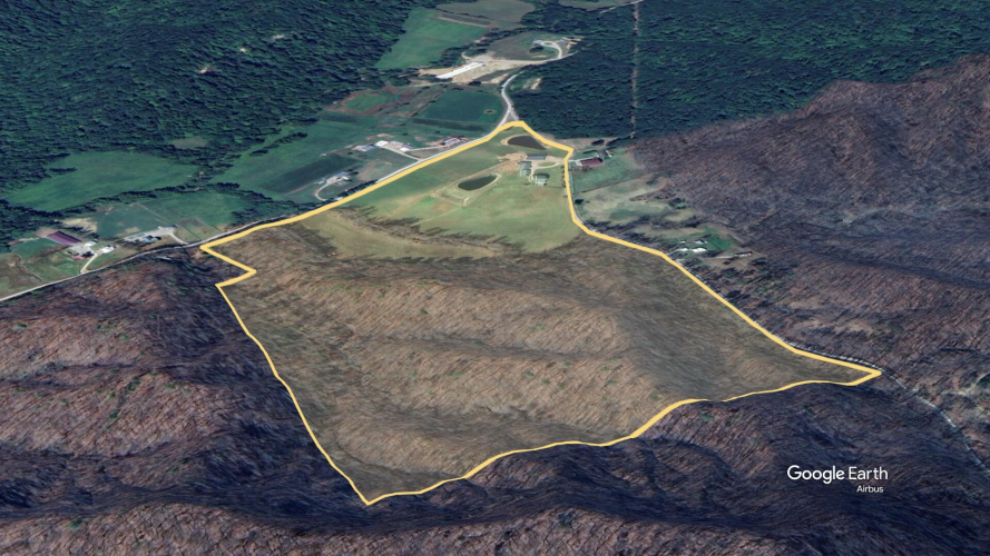 Listing Image 3