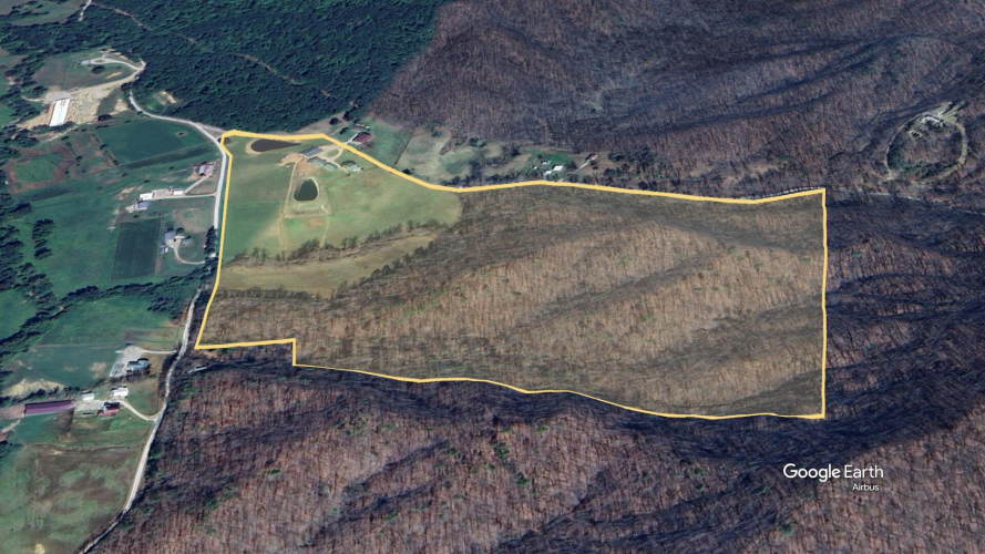 Listing Image 4