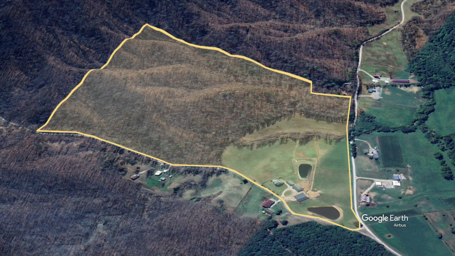 Listing Image 6