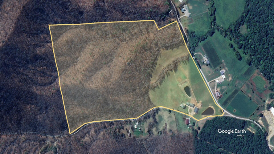 Listing Image 7