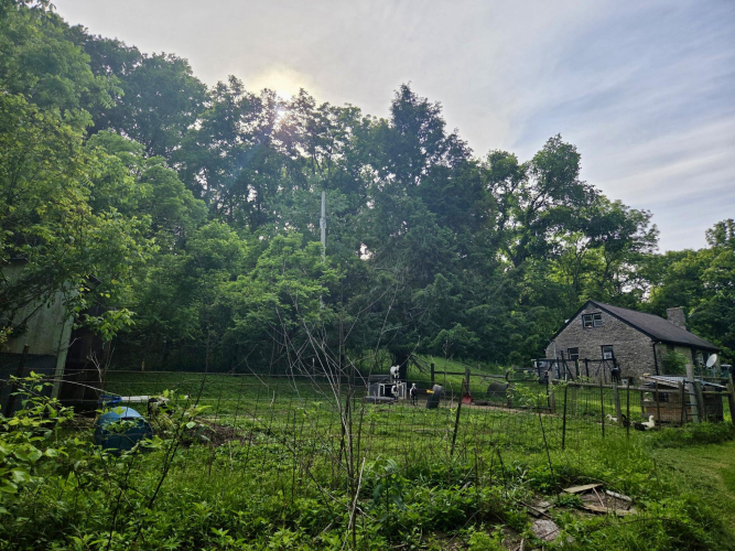 Listing Image 27