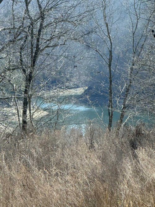 Listing Image 26