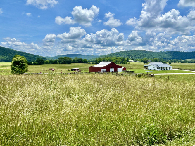 Listing Image 22