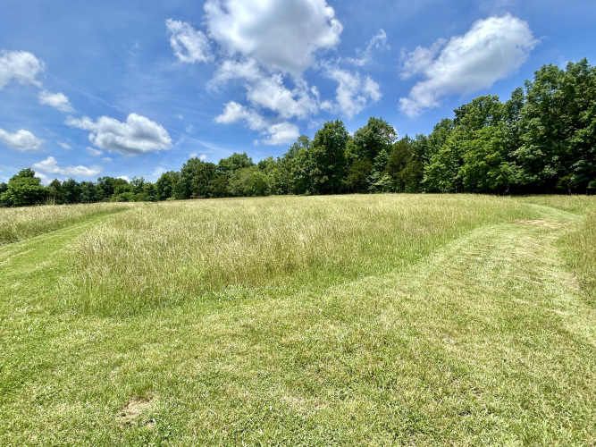 Listing Image 27