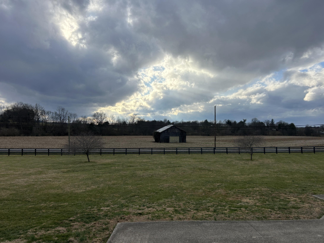 Listing Image 32