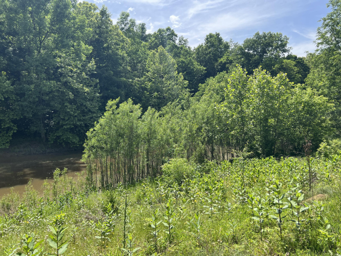 Listing Image 101