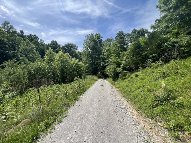Listing Image 102