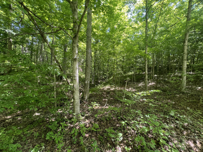 Listing Image 118