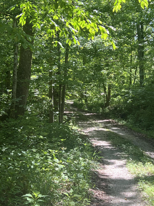 Listing Image 119