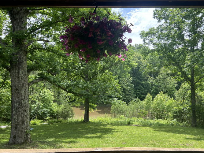 Listing Image 65