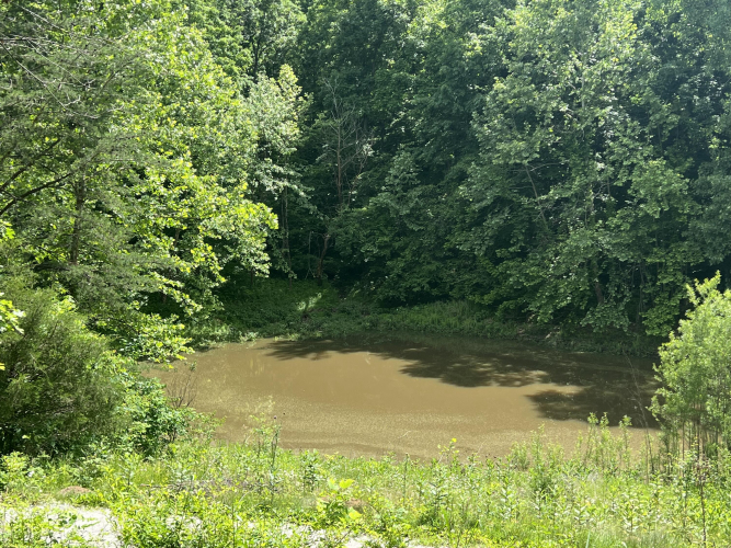 Listing Image 72