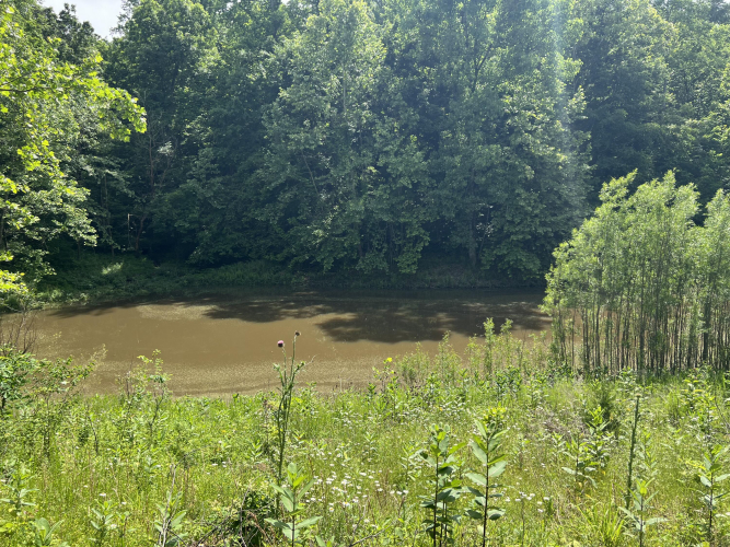 Listing Image 73