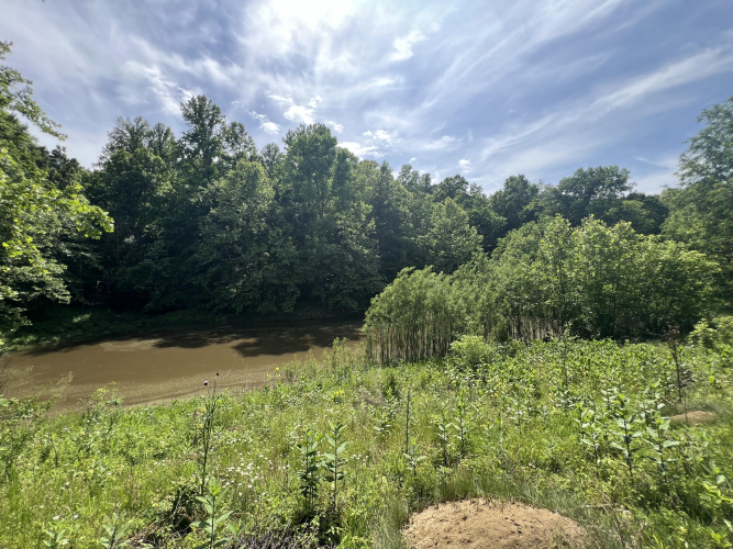 Listing Image 74