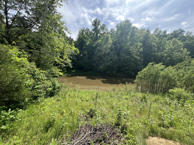 Listing Image 75