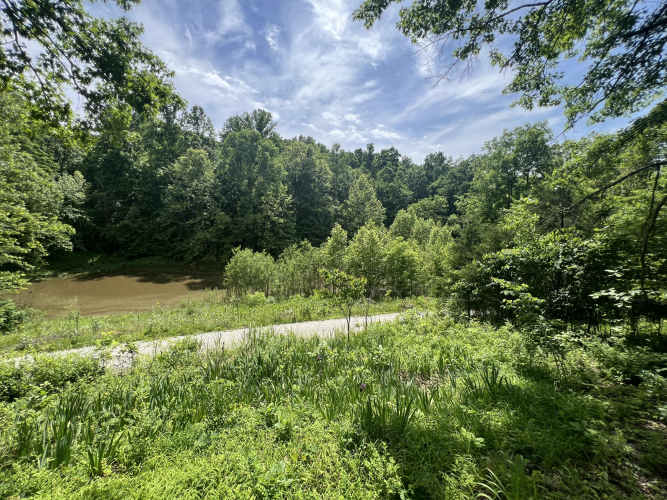 Listing Image 76