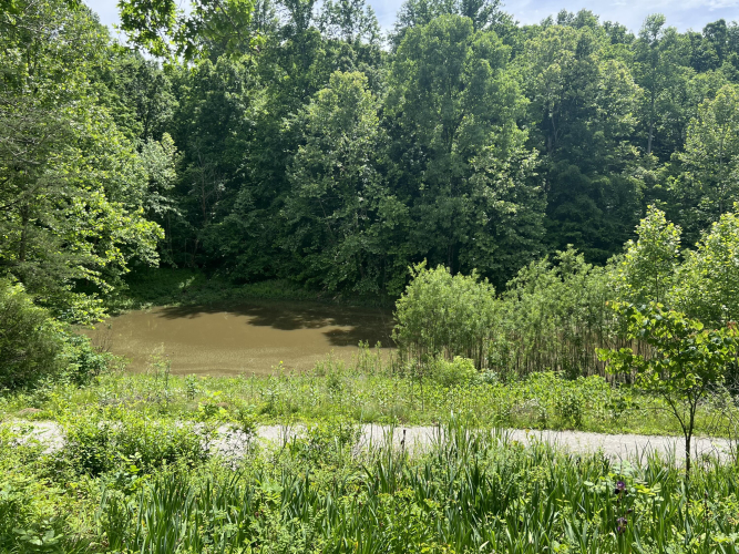 Listing Image 77