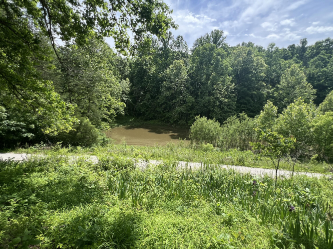Listing Image 78