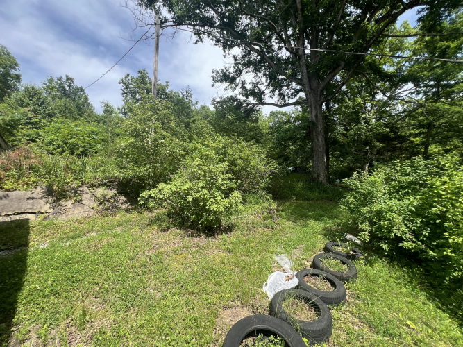 Listing Image 79