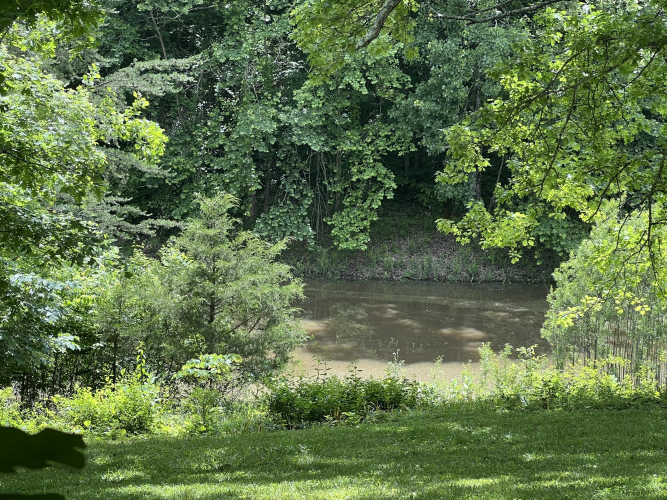 Listing Image 80