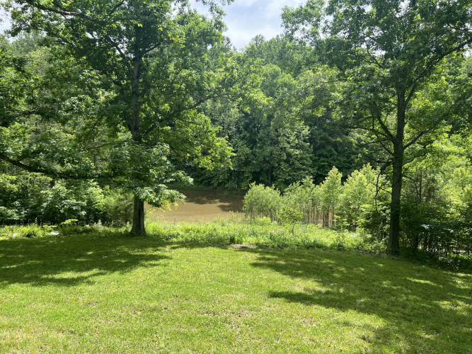 Listing Image 81