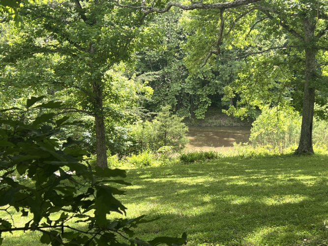 Listing Image 82