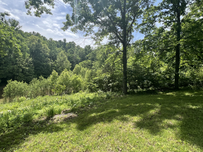 Listing Image 88