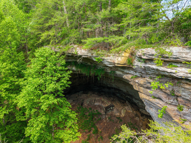 Listing Image 21