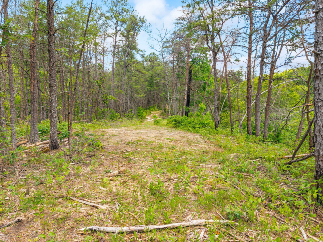 Listing Image 28