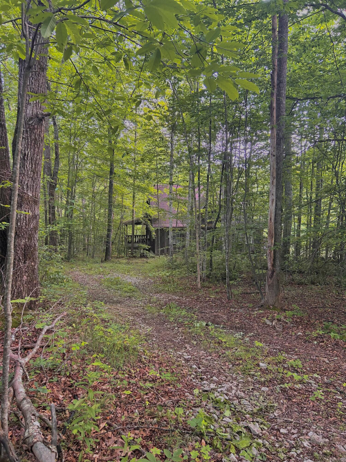 Listing Image 33