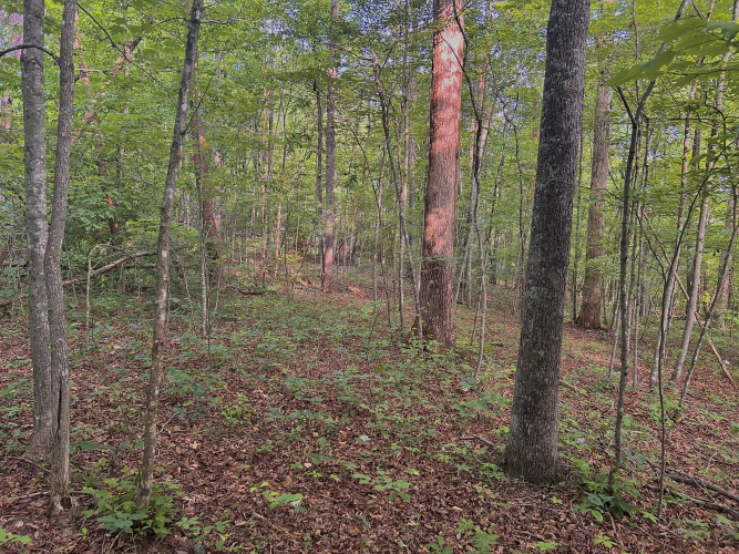 Listing Image 34