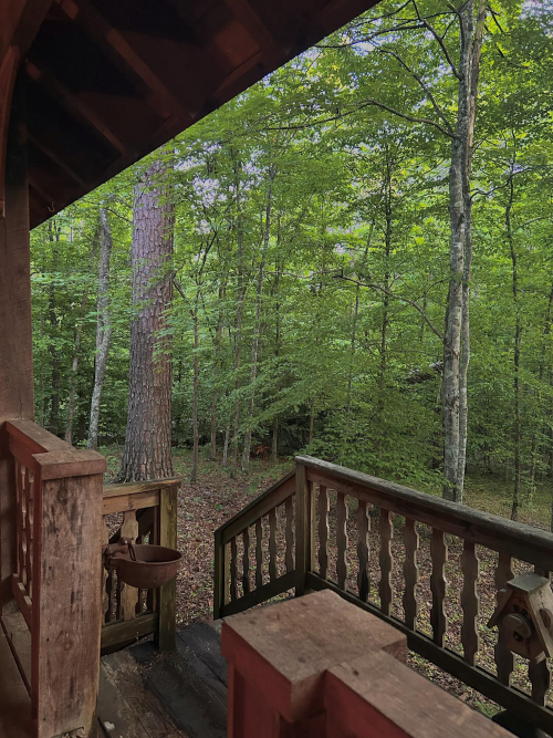 Listing Image 82