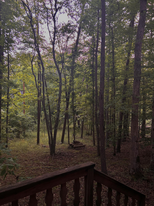 Listing Image 83