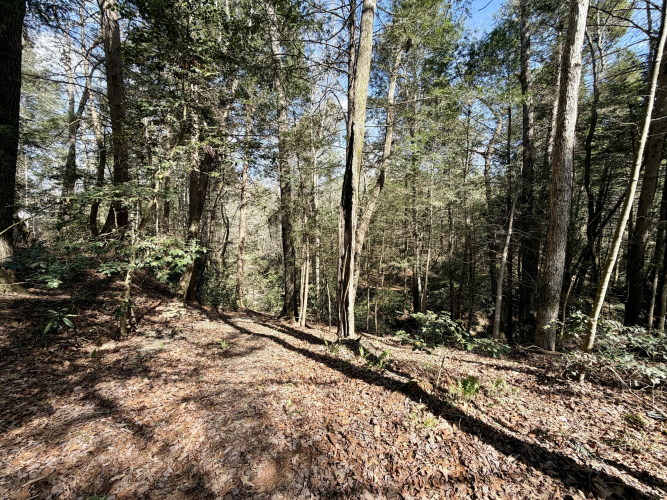 Listing Image 25