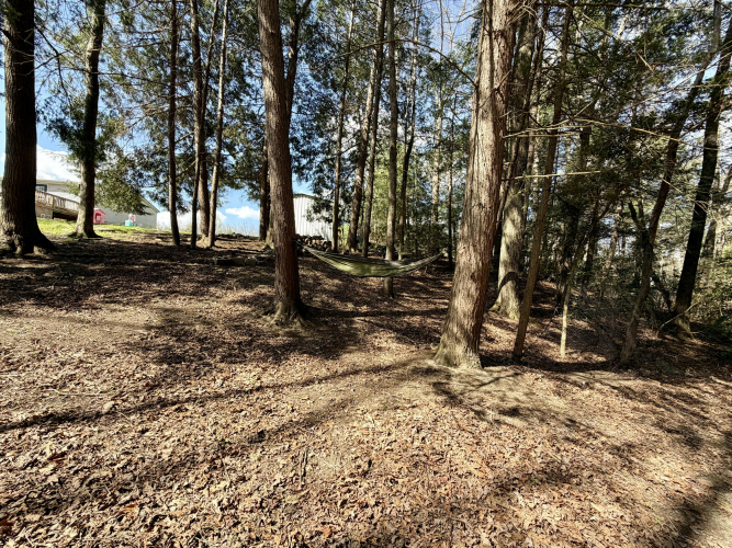 Listing Image 26