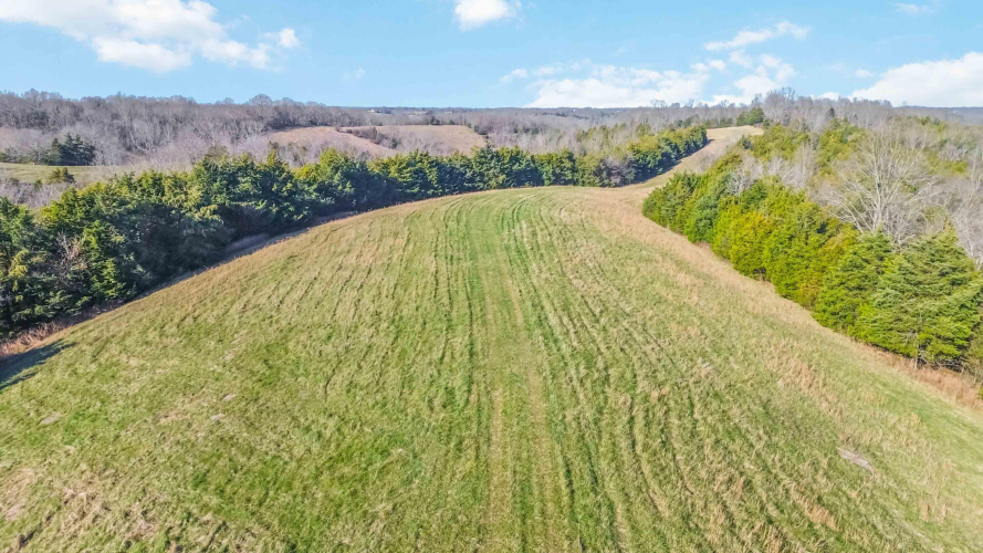 Listing Image 17