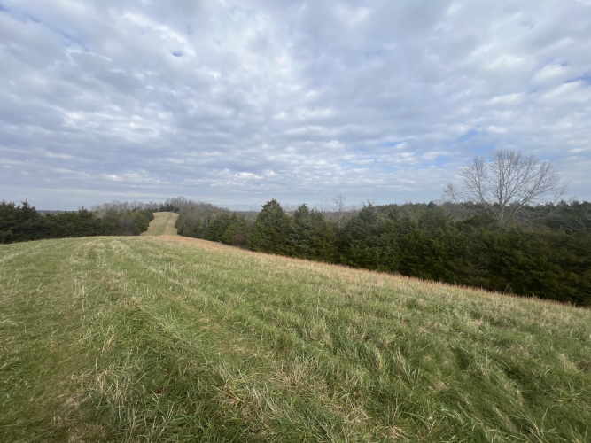 Listing Image 26