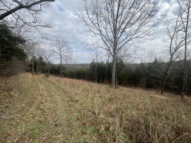 Listing Image 28