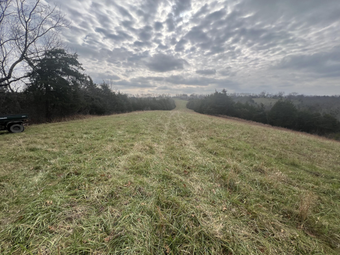 Listing Image 29
