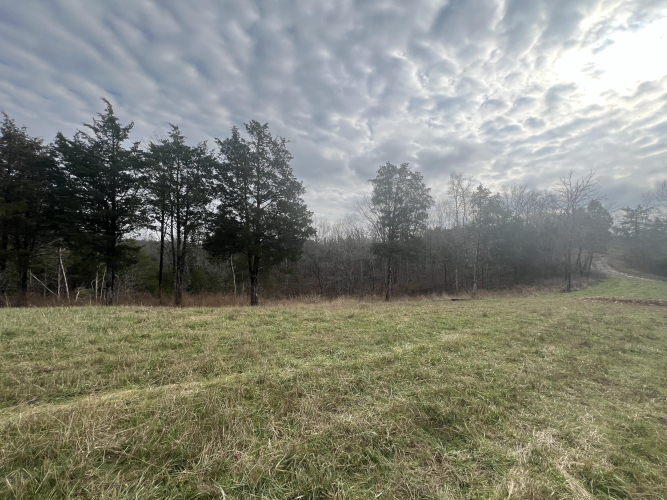 Listing Image 32