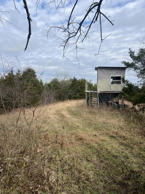 Listing Image 33