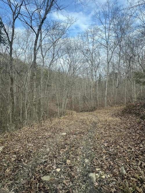 Listing Image 34
