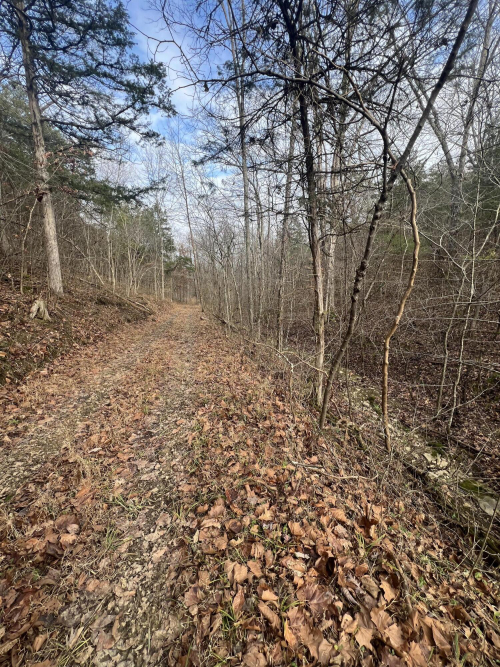 Listing Image 35
