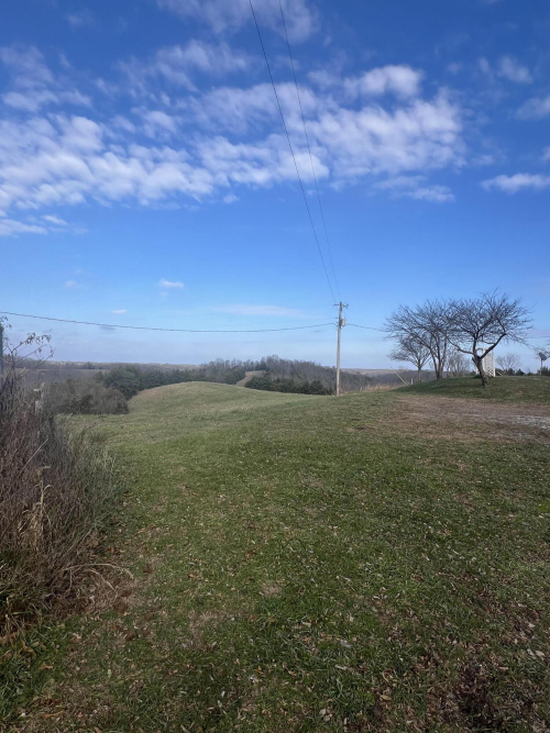 Listing Image 36