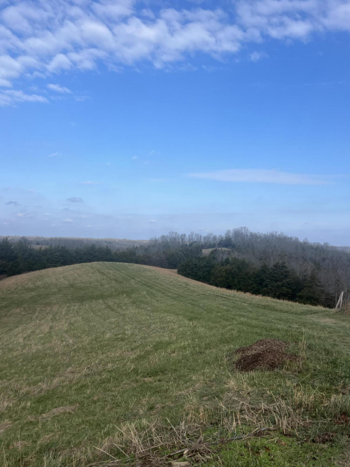Listing Image 37