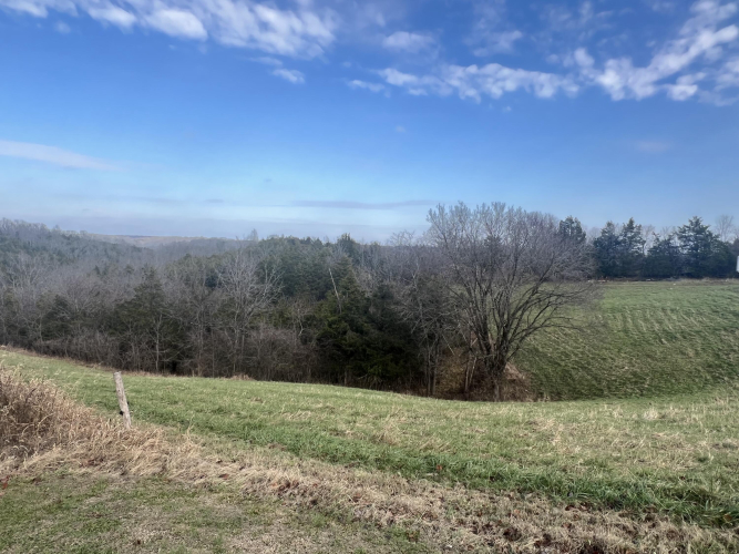 Listing Image 39