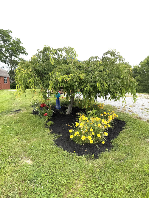 Listing Image 27