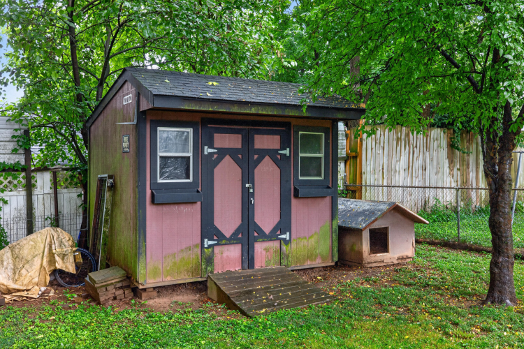 Listing Image 25