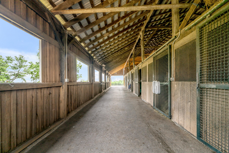 Listing Image 73